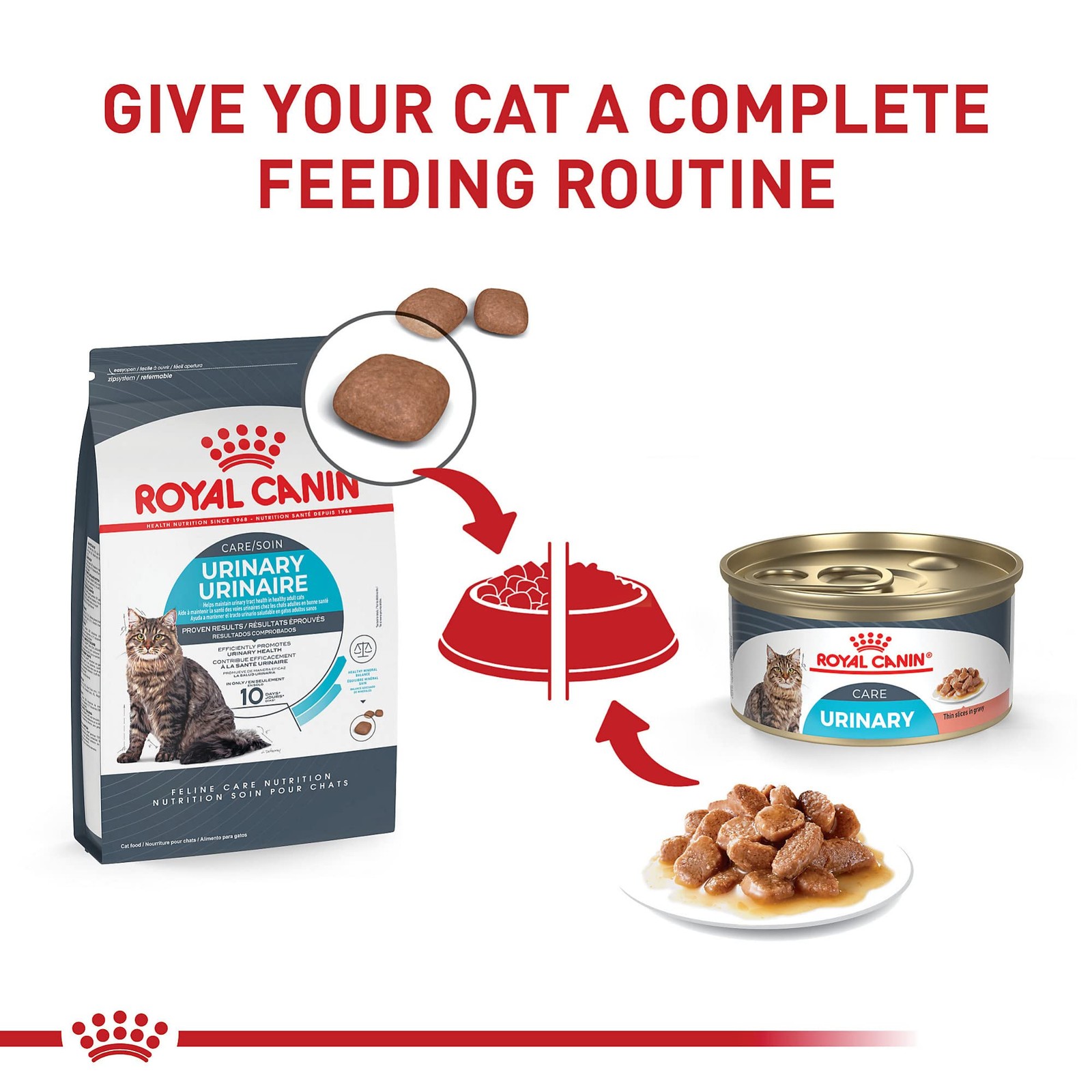 Royal Canin Feline Care Nutrition Urinary Care Adult Dry Cat Food 6 Lb Bag