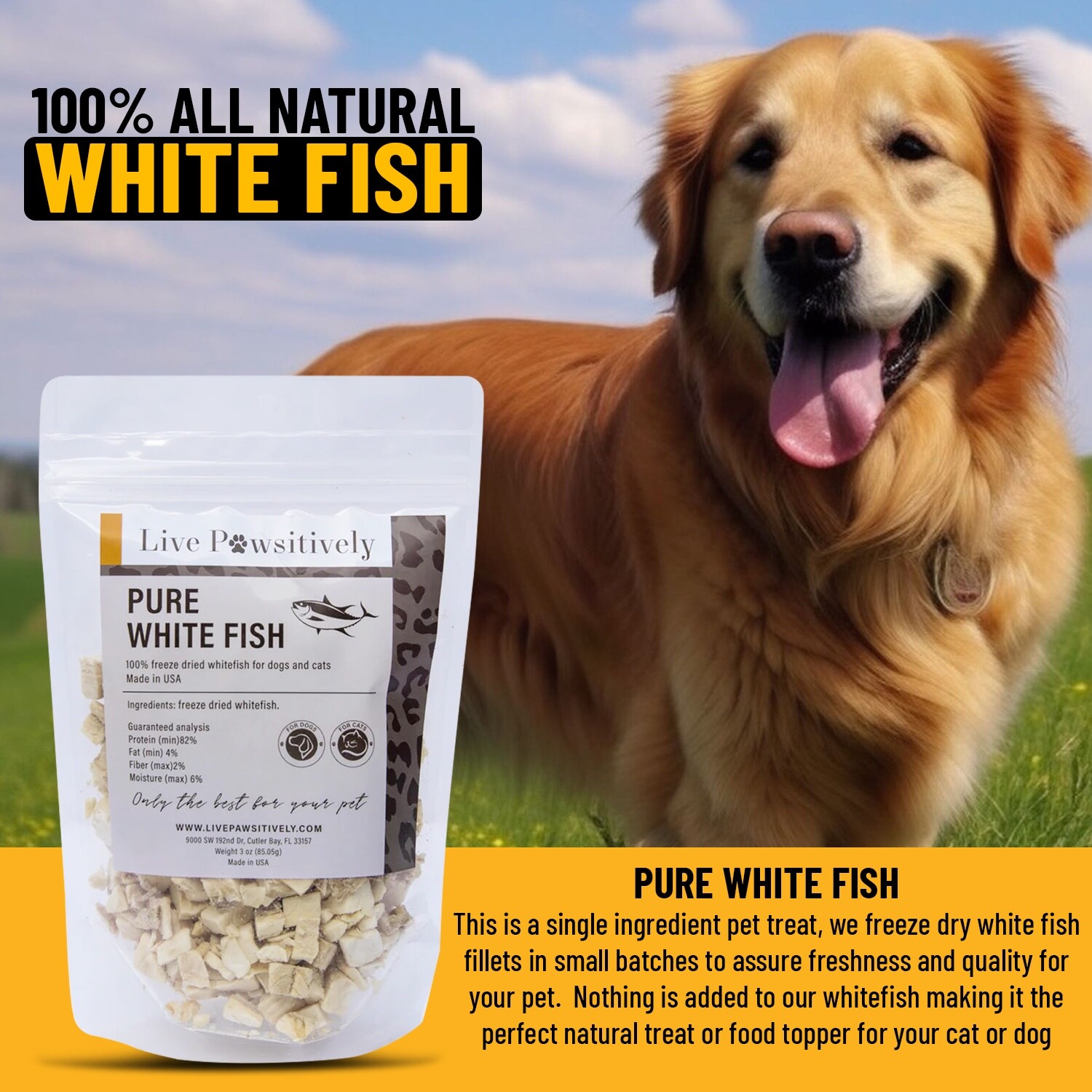 Freeze Dried White Fish Single Ingredient dog/cat treat 3oz, Live Pawsitively