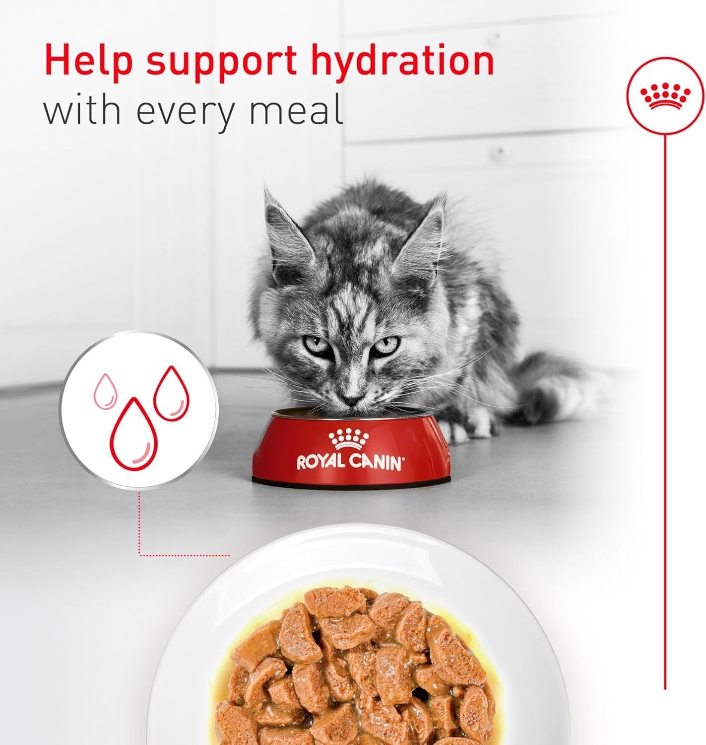 Feline Health Nutrition Aging 11+ Wet Cat Food for Seniors, Thin Slices in Gr…