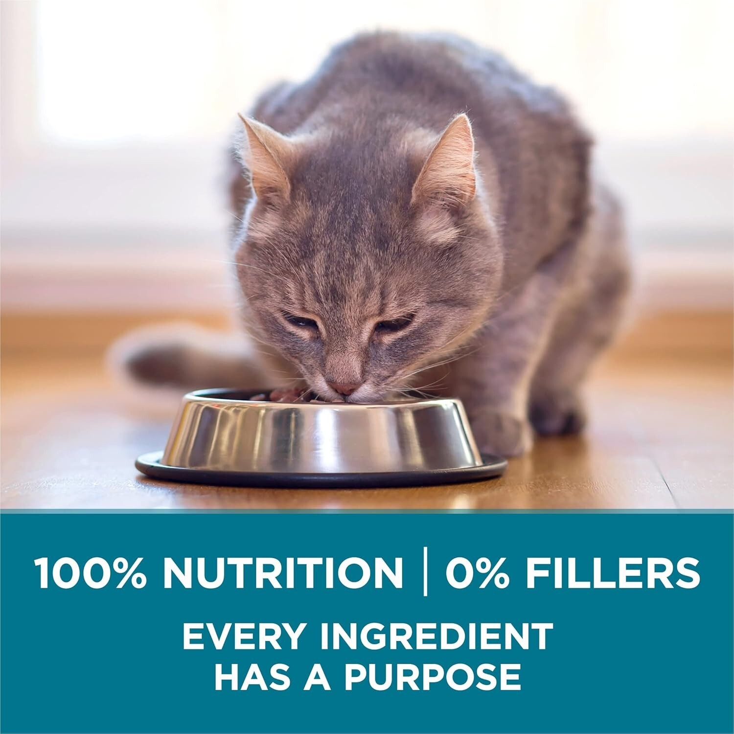 Purina ONE Tender Select Blends Dry Cat Food, Chicken, 22 lb Bag