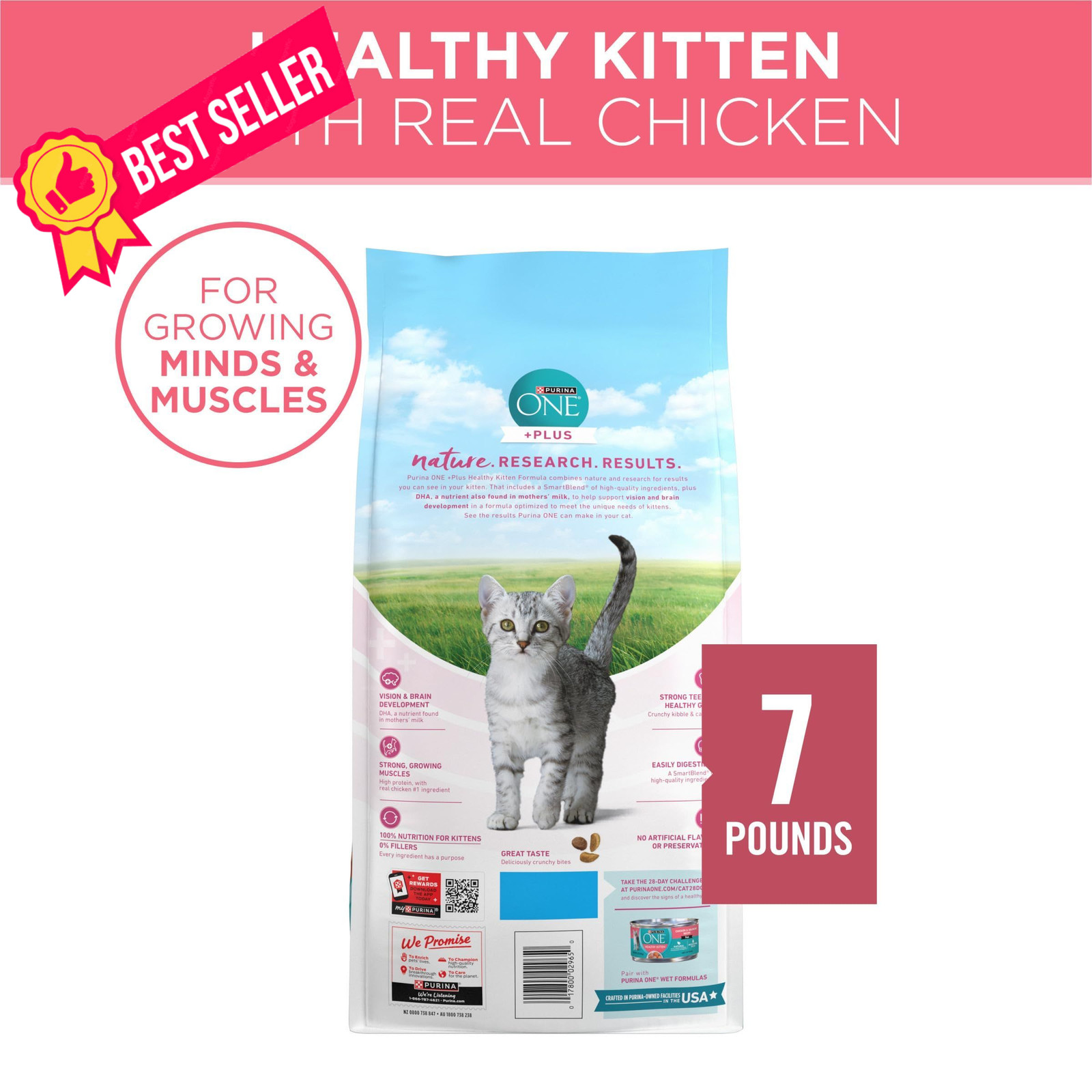 Purina ONE High Protein, Natural Dry Kitten Food, 7 Pound (Pack of 1), Other