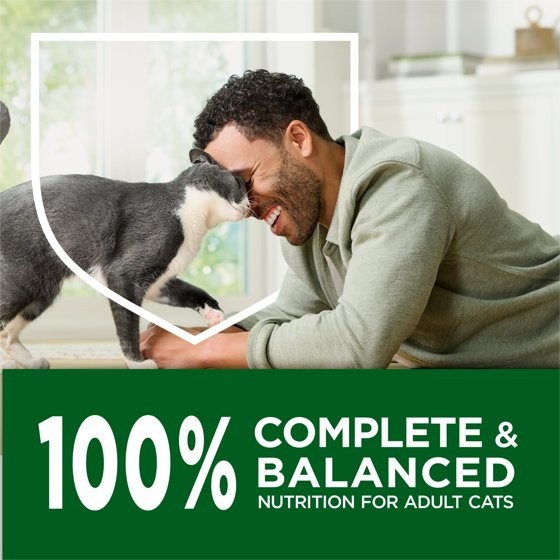 Purina Cat Chow Indoor Healthy Weight and Hairball Chicken Dry Cat Food, 40 Lbs