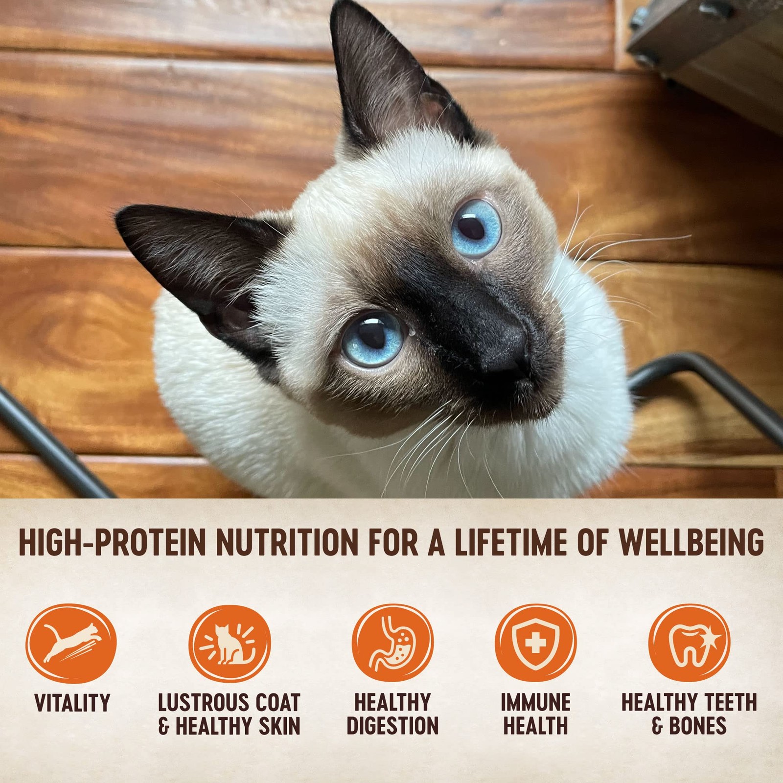 CORE Tiny Tasters Pate Variety Pack Adult Wet Cat Food, Natural, Protein Rich…