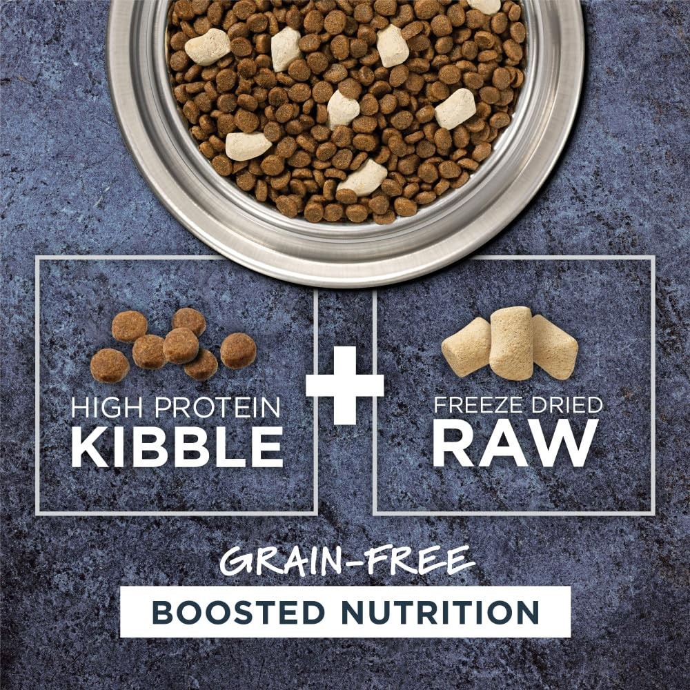 Instinct Raw Boost Grain Free Dry Cat Food Cage Free Chicken 5 Pound Pack