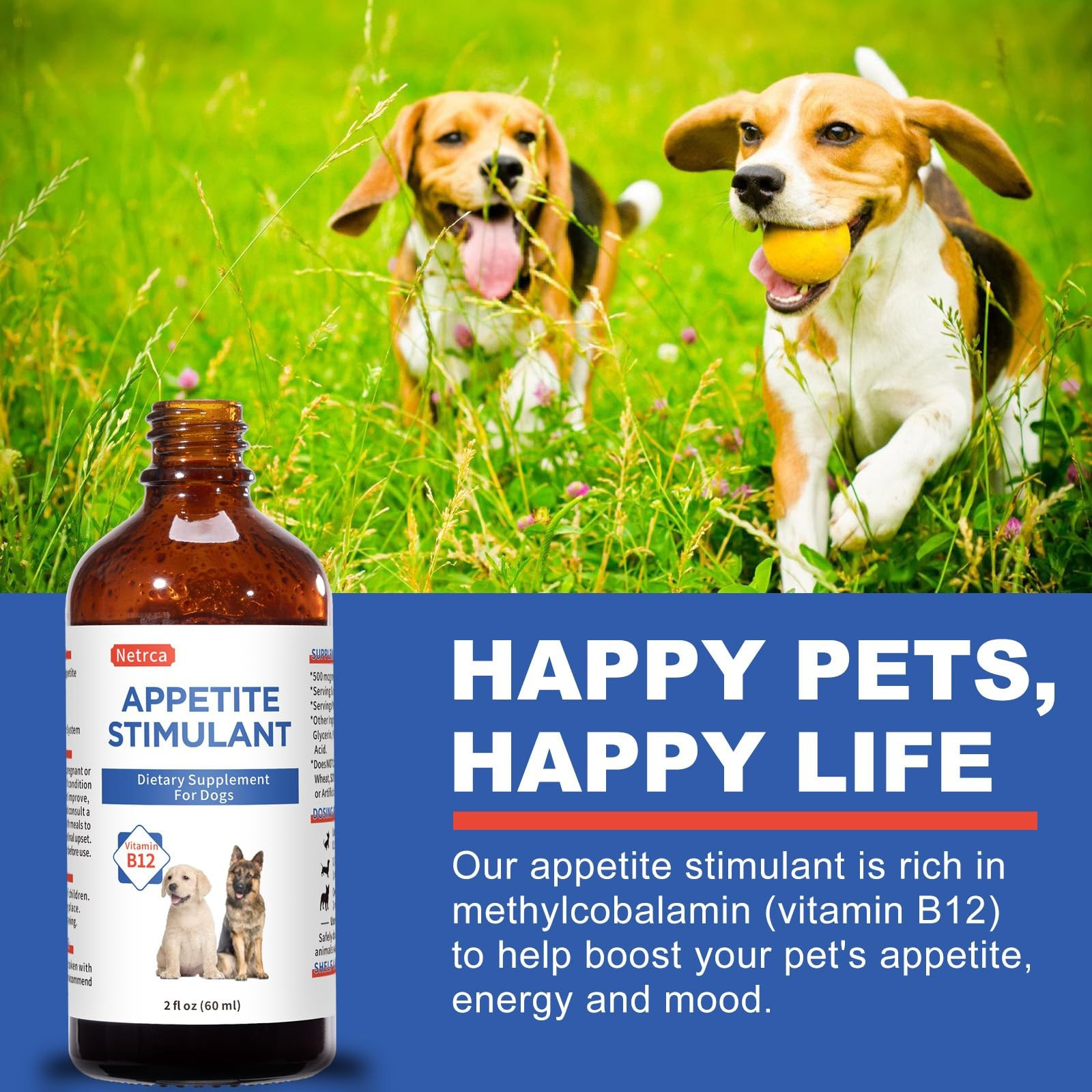 Cat Appetite Stimulant Methylcobalami