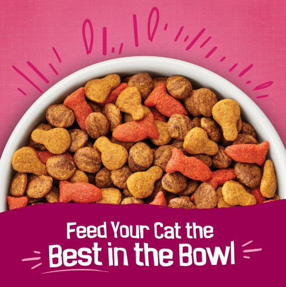 Purina Friskies Dry Cat Food Gravy Swirl’d Chicken, Salmon & Gravy, 16 lb