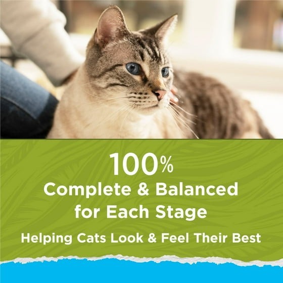 (2 pack) Purina Cat Chow Naturals, Indoor Dry Cat Food, Chicken & Turkey, 18 lb