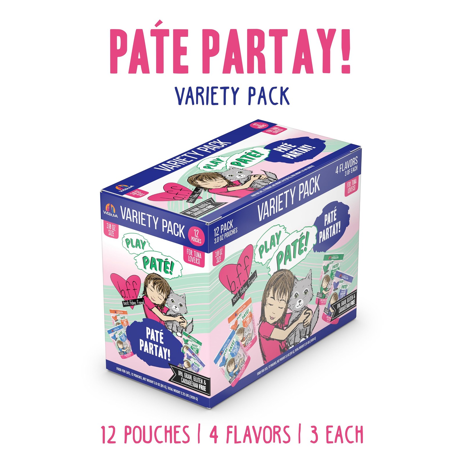 Paquete De Doce Bolsas De Comida Para Gatos Với Variedad De Sabores Lujo