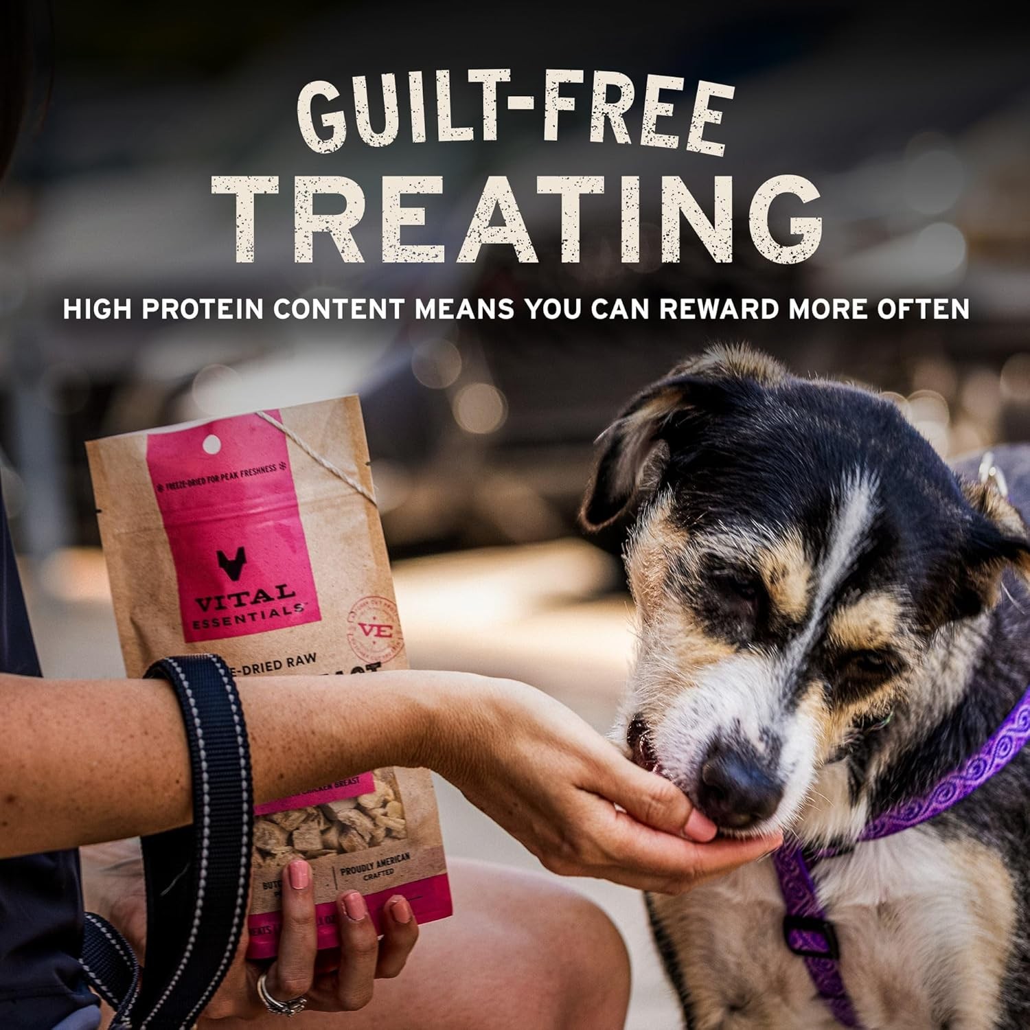 Vital Essentials Freeze Dried Dog Treats | Duck Bites, Single Protein | Premium