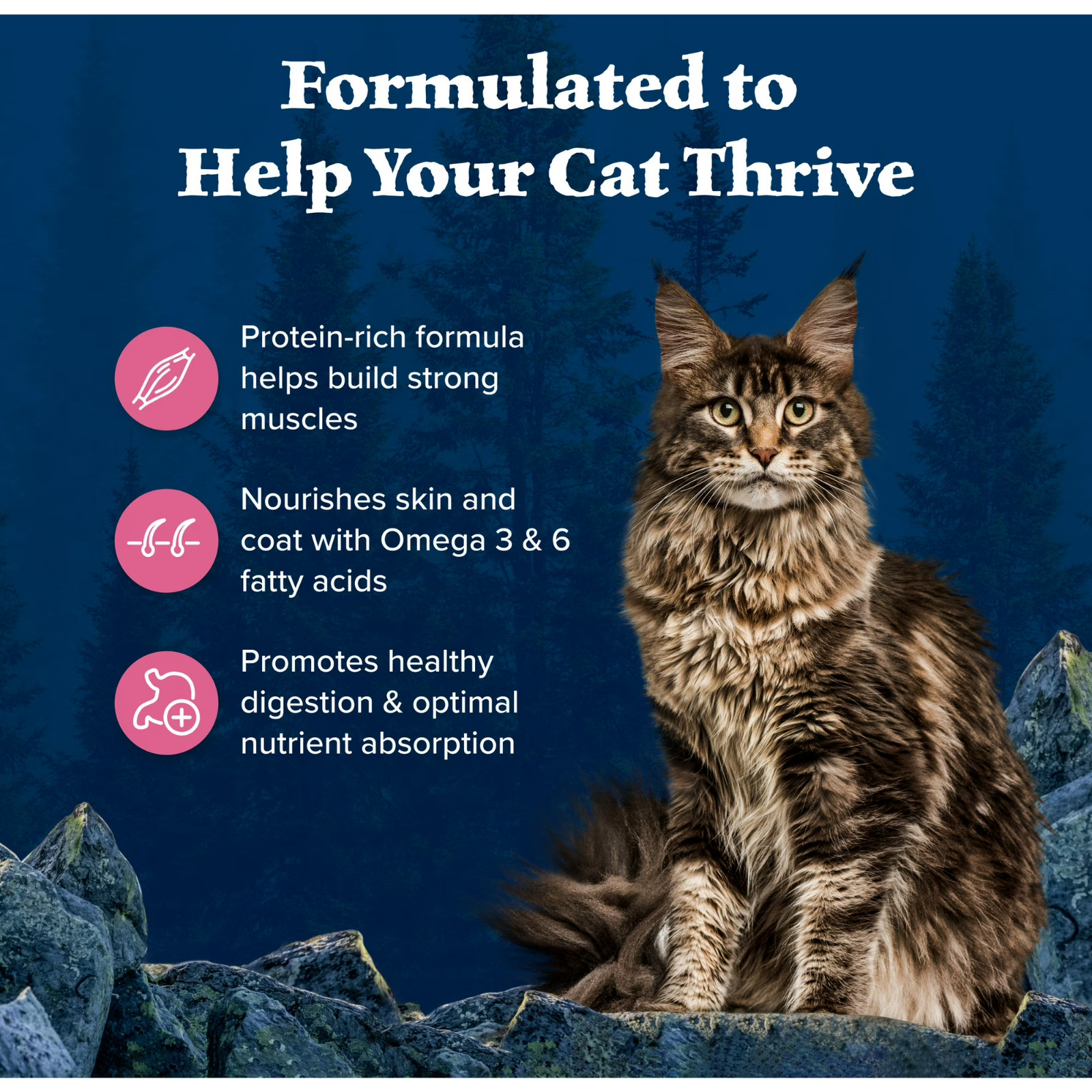 Blue Buffalo Wilderness Adult Dry Cat Food – Grain Free, Salmon