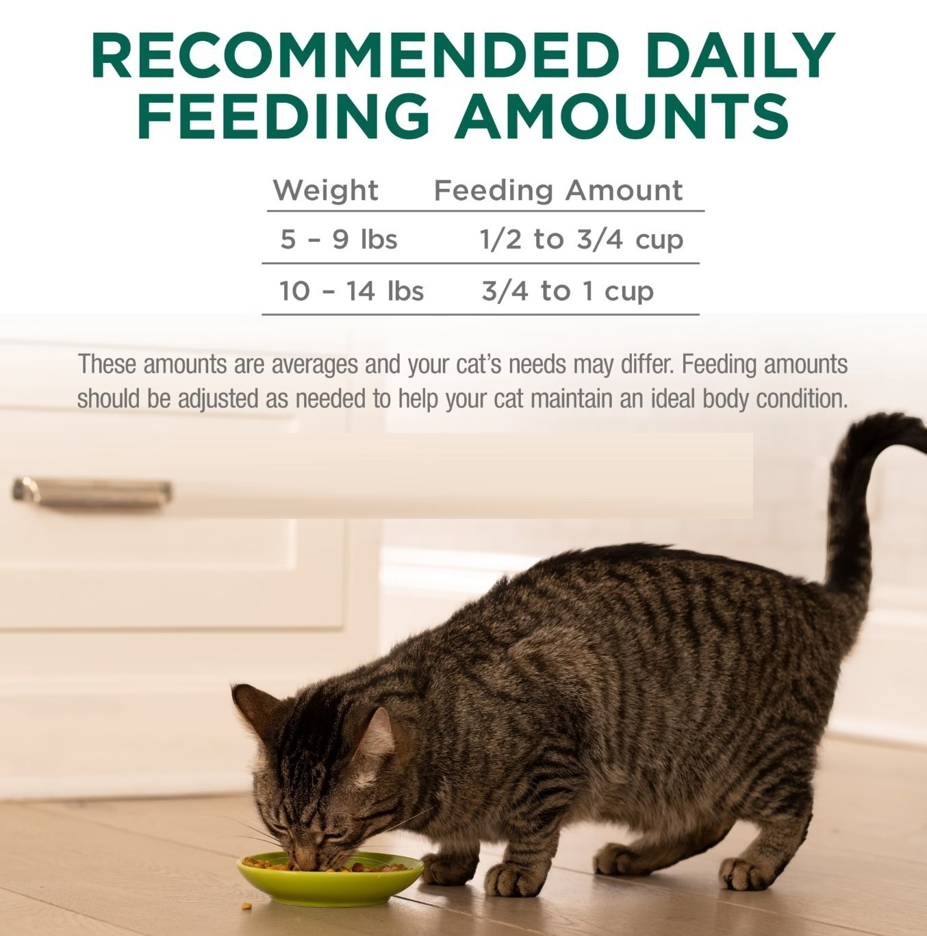 (2 pack) Purina Cat Chow Naturals, Dry Cat Food, Chicken & Salmon, 18 lb Bag