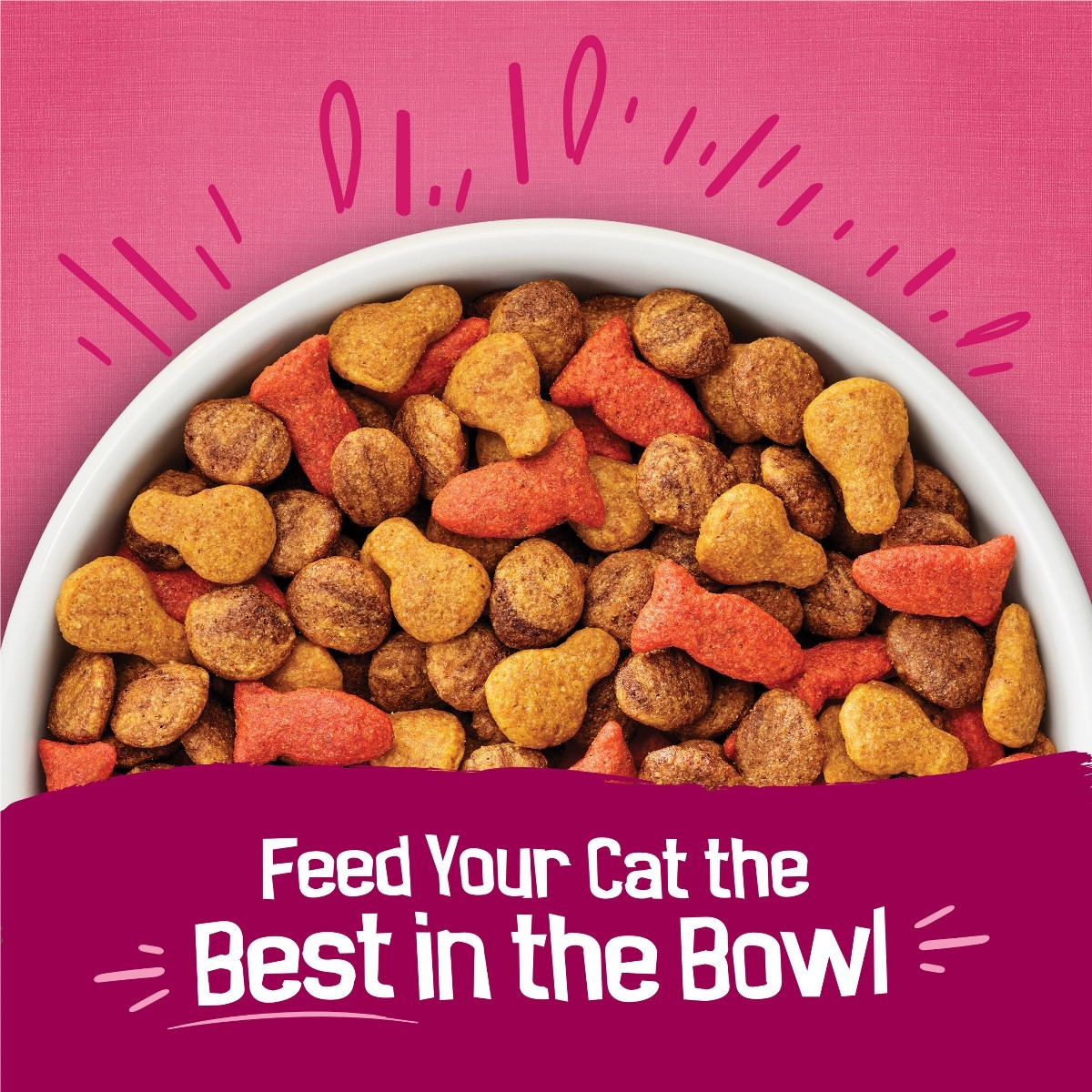 Purina Friskies Gravy Swirlers with Flavors of Chicken,Salmon Dry Cat Food-16lbs