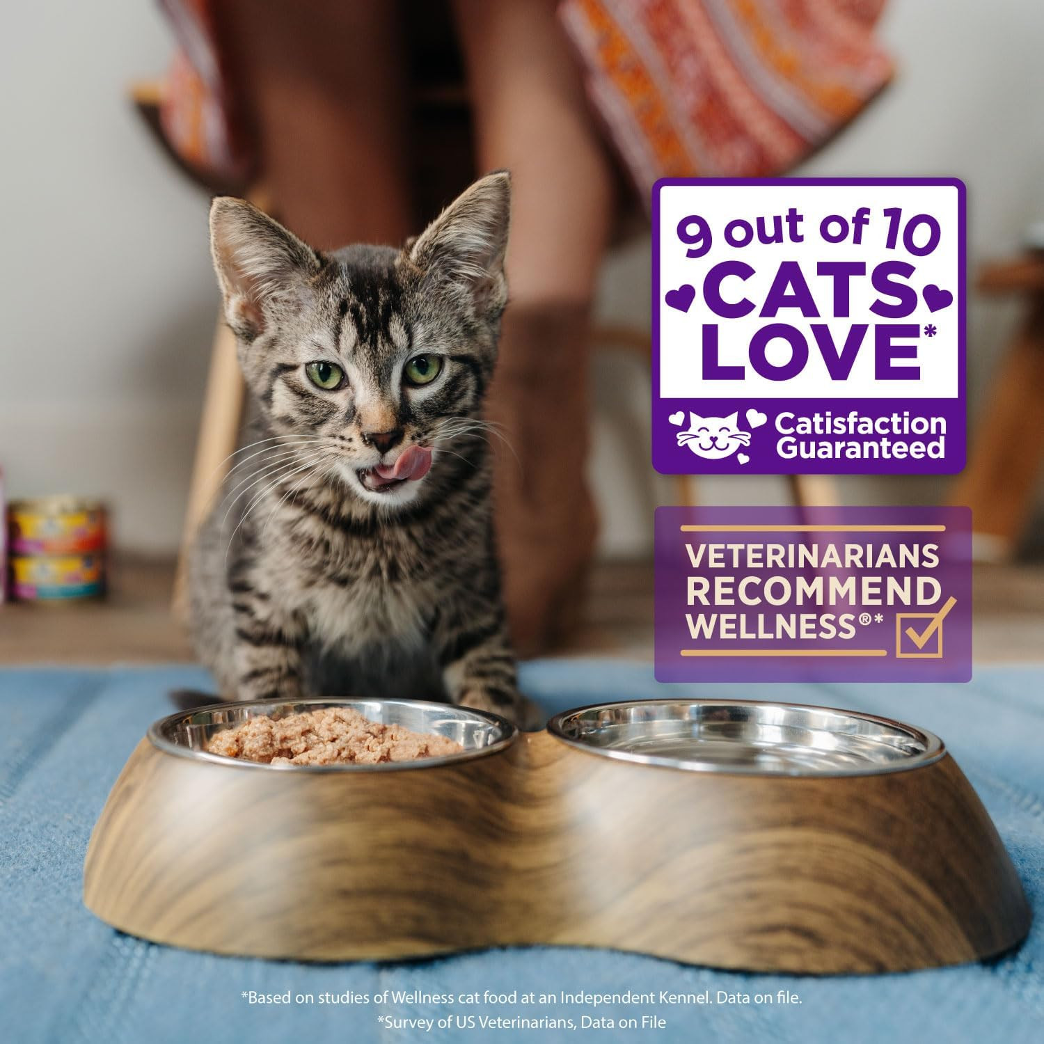 Wellness Healthy Indulgence Morsels Adult Wet Cat Food, Natural, Protein Rich, G