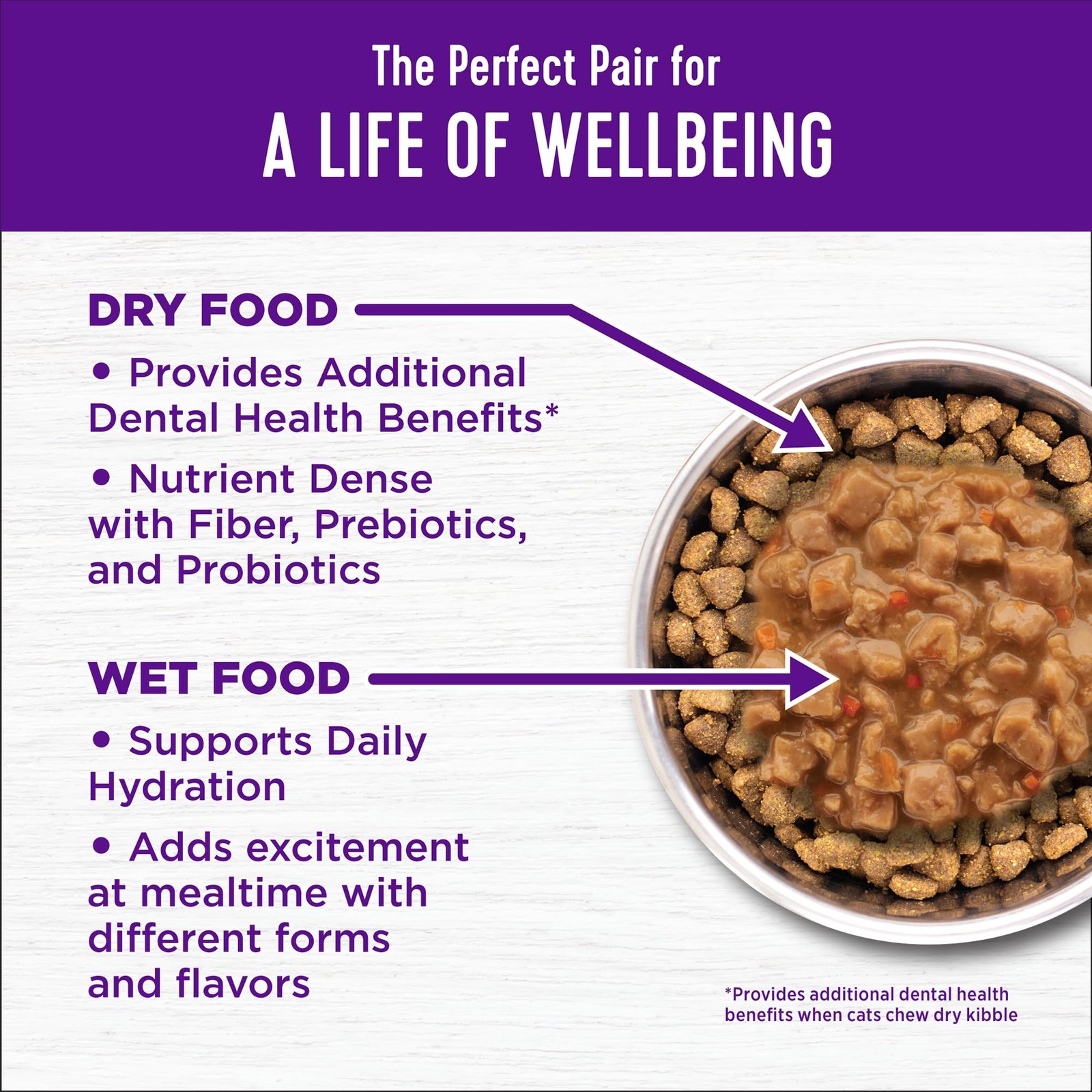 Complete Health Adult Dry Cat Food for Indoor and Outdoor Cats, Wholesome Gra…