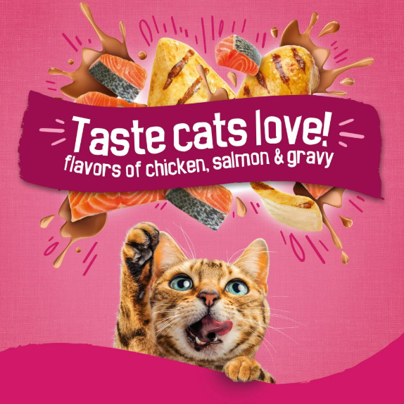 Purina Friskies Dry Cat Food Gravy Swirl’d Chicken, Salmon & Gravy, 16 lb