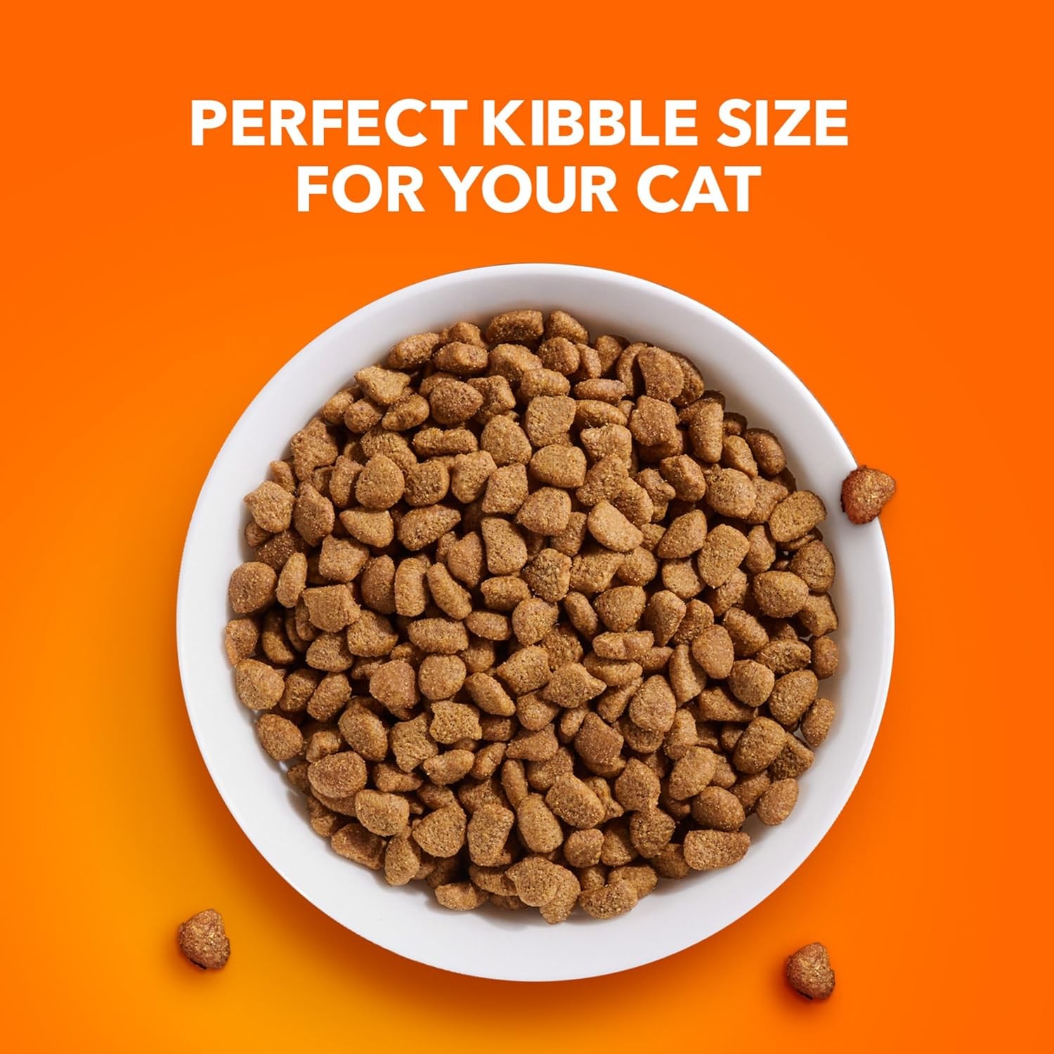 IAMS Proactive Health Indoor Weight Control & 7 Pound (Pack of 1), Salmon