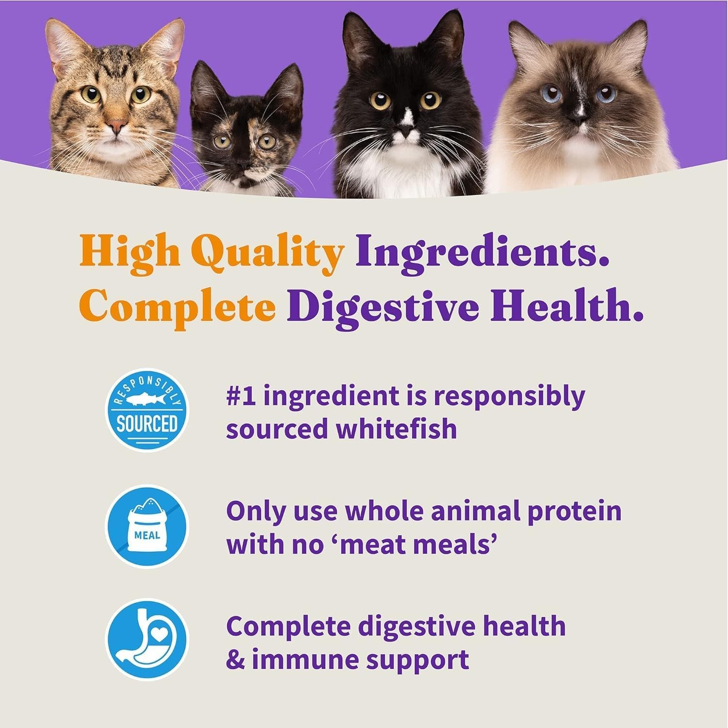 Holistic Cat Food Wild Caught Whitefish Formula Healthy Grains Dry Cat Food