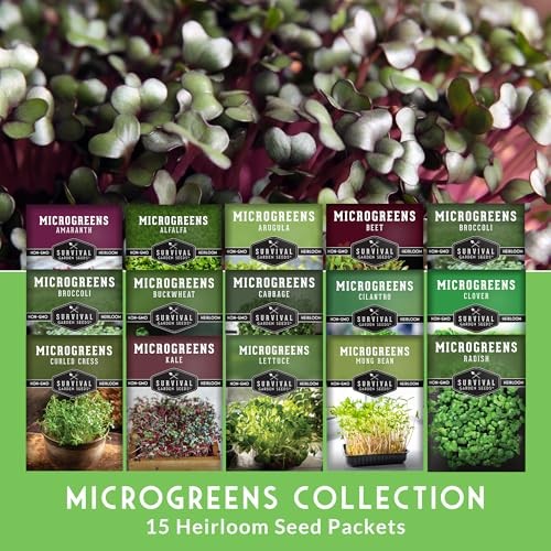 Microgreens Seeds Variety Pack – 15 Heirloom Varieties for Indoor Sprouting &