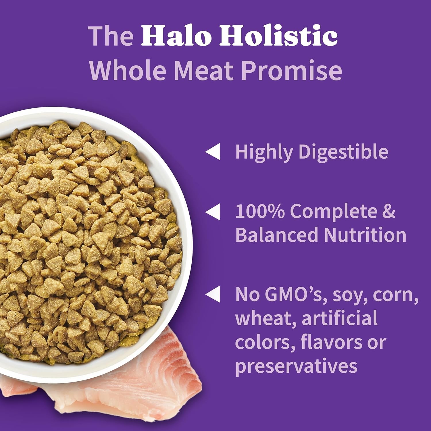 Holistic Cat Food Wild Caught Whitefish Formula Healthy Grains Dry Cat Food