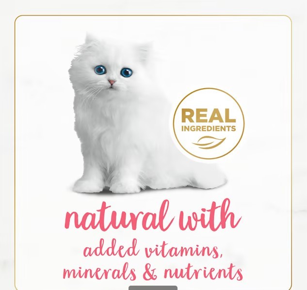 Fancy Feast Grain Free Gourmet Naturals Salmon Pate Wet Kitten Food 3 oz, 48 Can