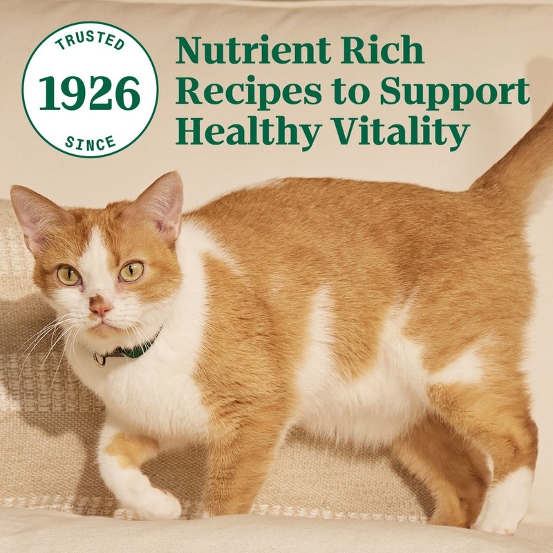 Senior Dry Cat Food Chicken Brown Rice Healthy Digestion Immune Support 80oz New
