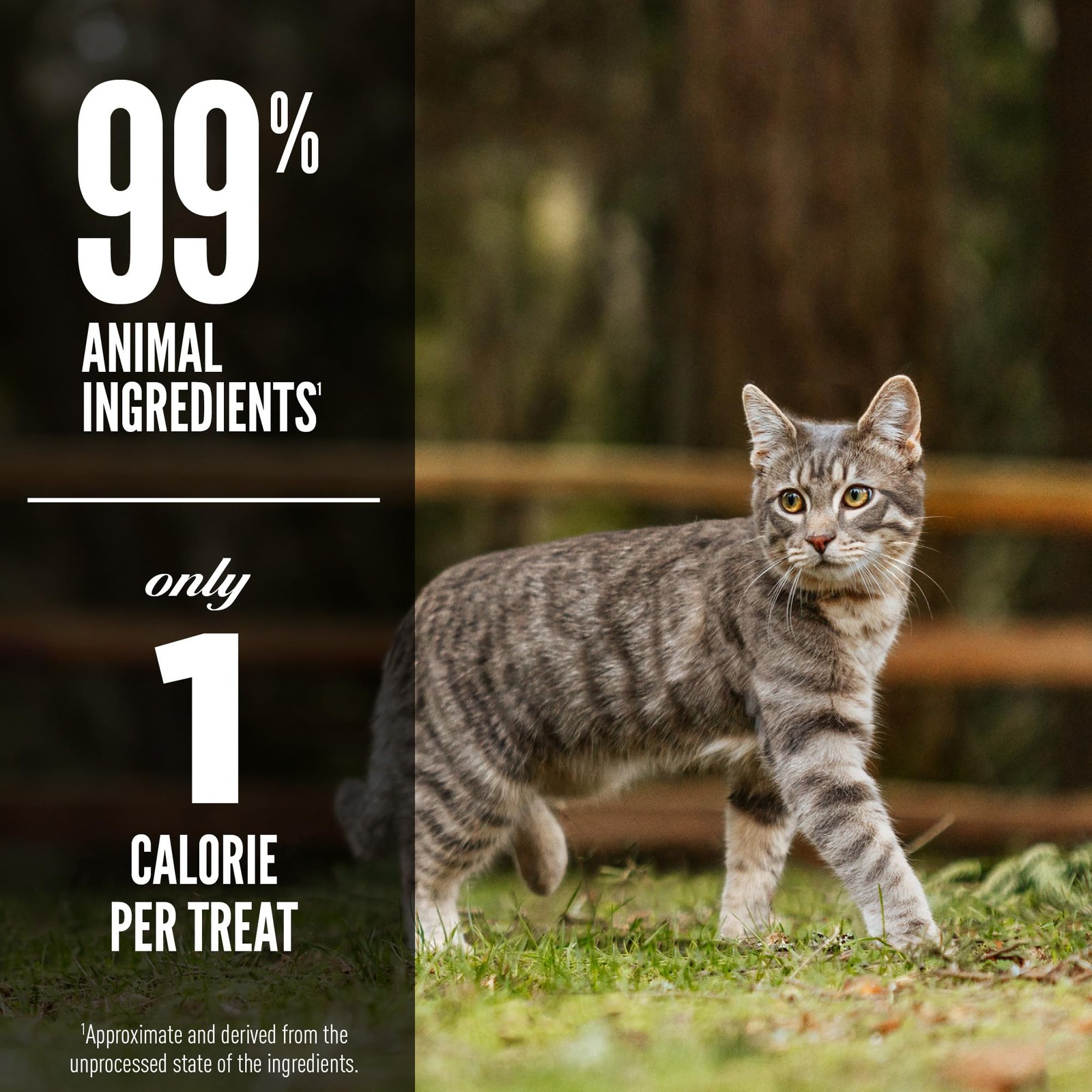 Orijen Original Freeze Dried Cat Treats Grain Free High Protein 1.25 Oz