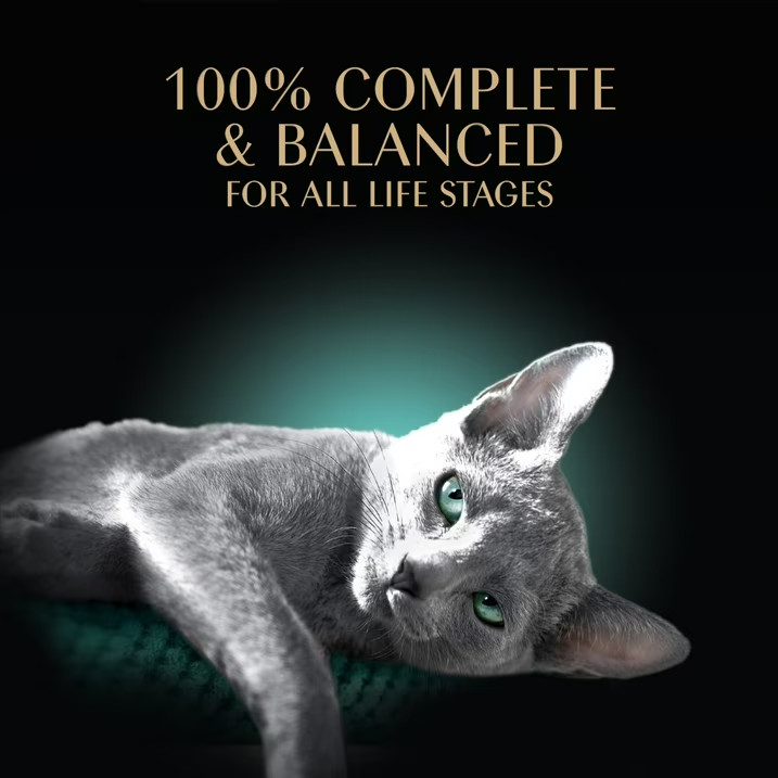 SHEBA PERFECT PORTIONS Wet Cat Food Cuts in Gravy Gourmet Salmon, Signature & 24