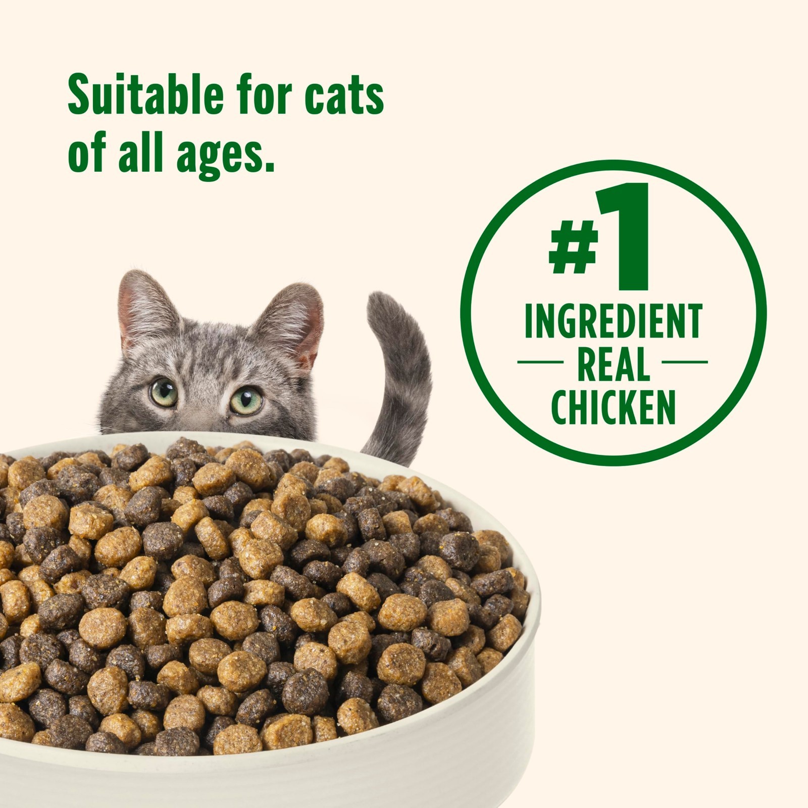 Premium Chicken & Brown Rice Dry Cat Food, 6 lb Bag, Healthy Nutrition for Cats