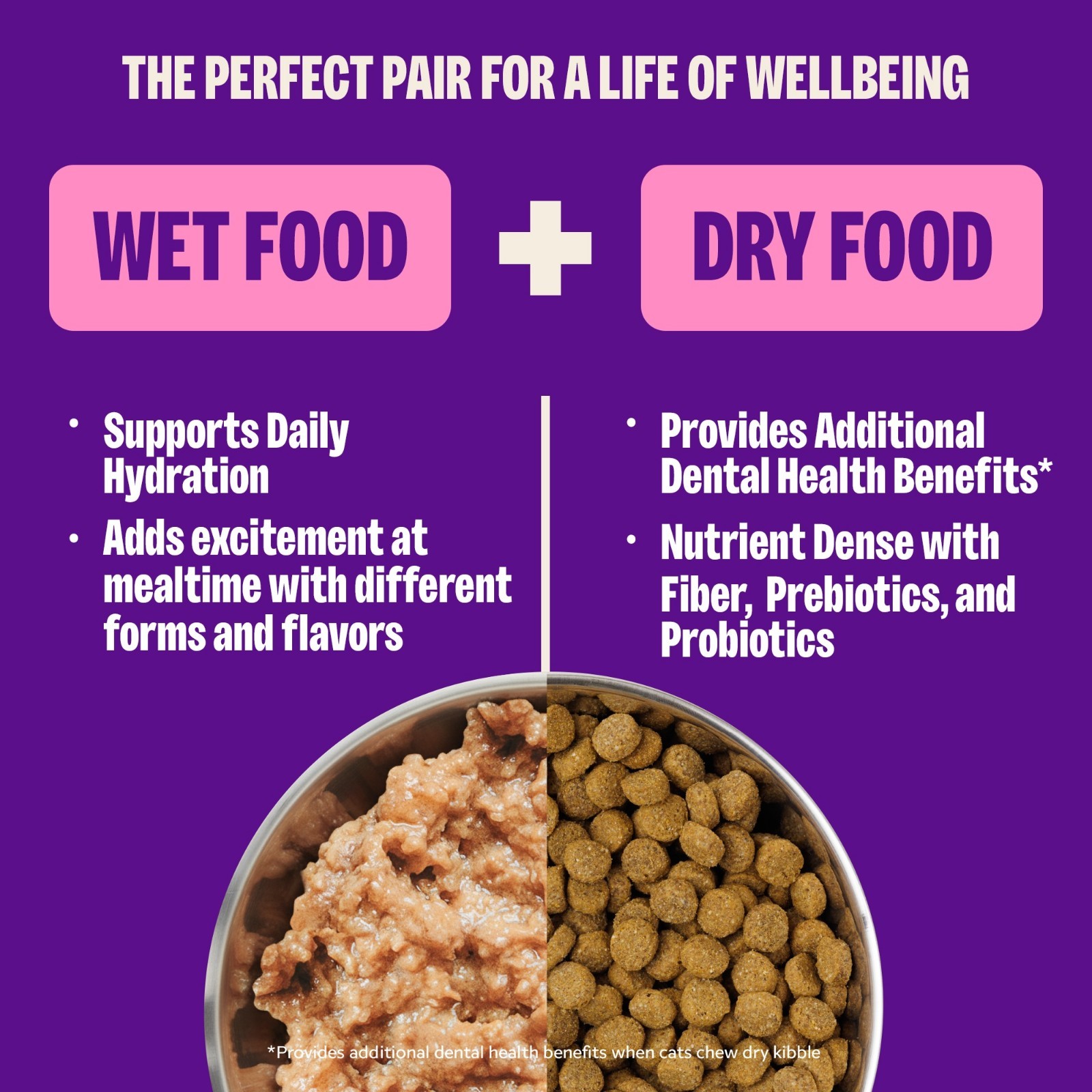 Wellness Complete Health Wet Cat Food Chicken Lobster 12ct…(wa)