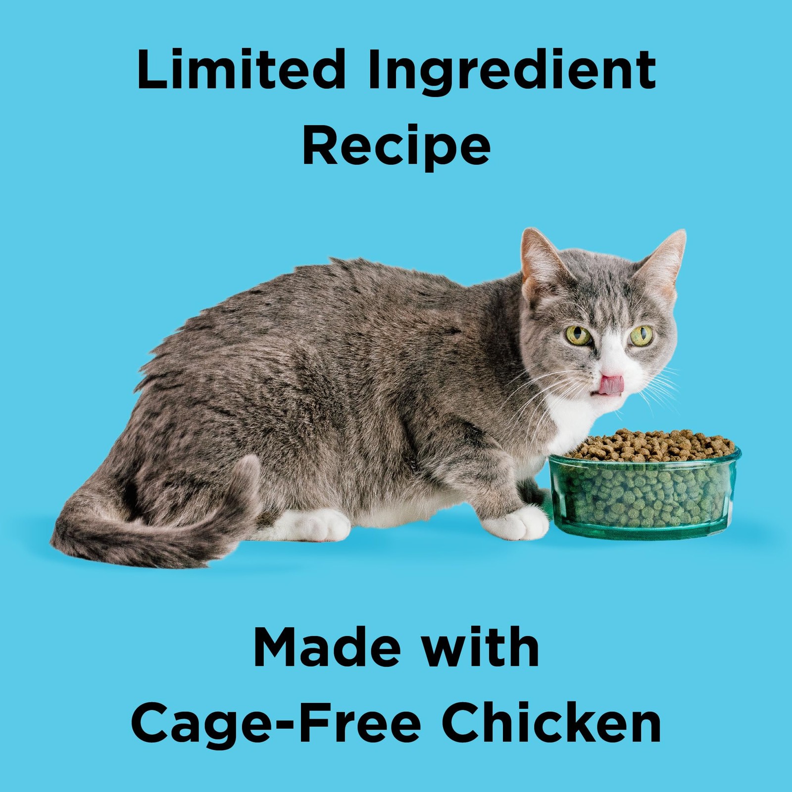 BIXBI Liberty Dry Food Digestive Cat Health 3 Pound (Pack of 1), Chicken