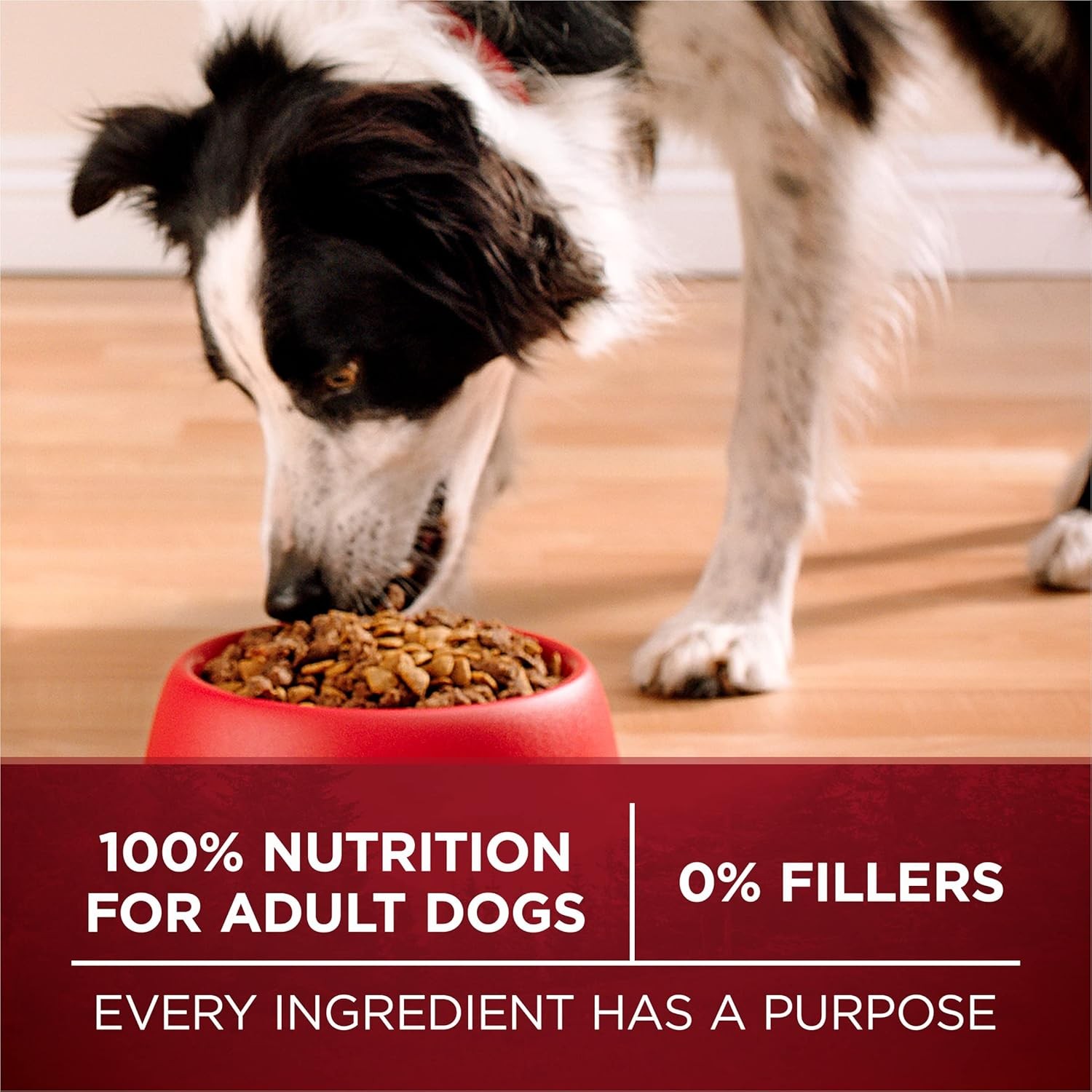 Purina One True Instinct Lean Muscle Support With Real Beef Natural With Added V