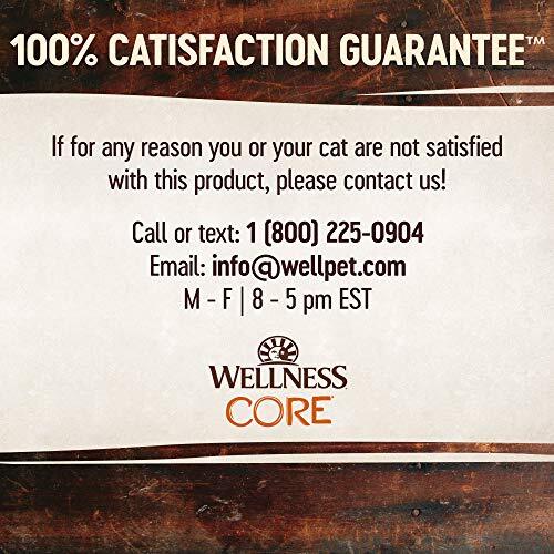 Wellness CORE Tiny Tasters Grain Free Tuna Salmon Wet Cat Food Pouch 12 Pack
