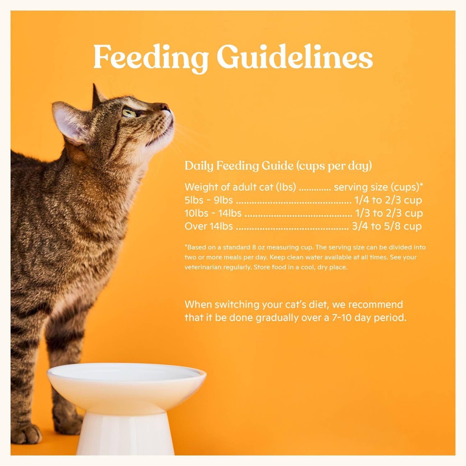 Made by Nacho Dry Cat Kibble 2lb Bag, High Protein 2 Pound (Pack of 1), Brown