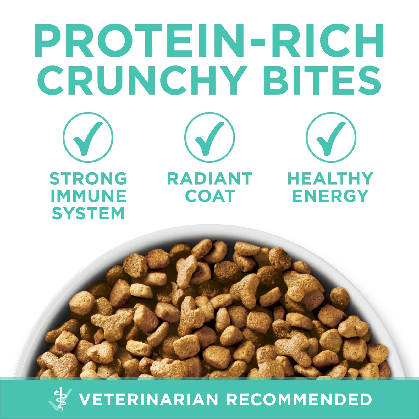 Purina ONE Sensitive Stomach, Skin, Natural 16 Pound (Pack of 1)