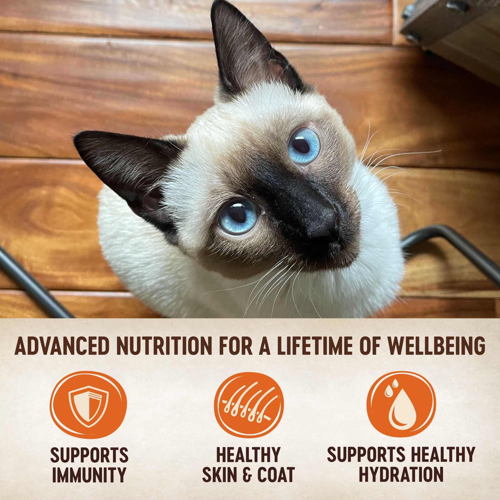 Wellness CORE Tiny Tasters Grain Free Tuna Salmon Wet Cat Food Pouch 12 Pack