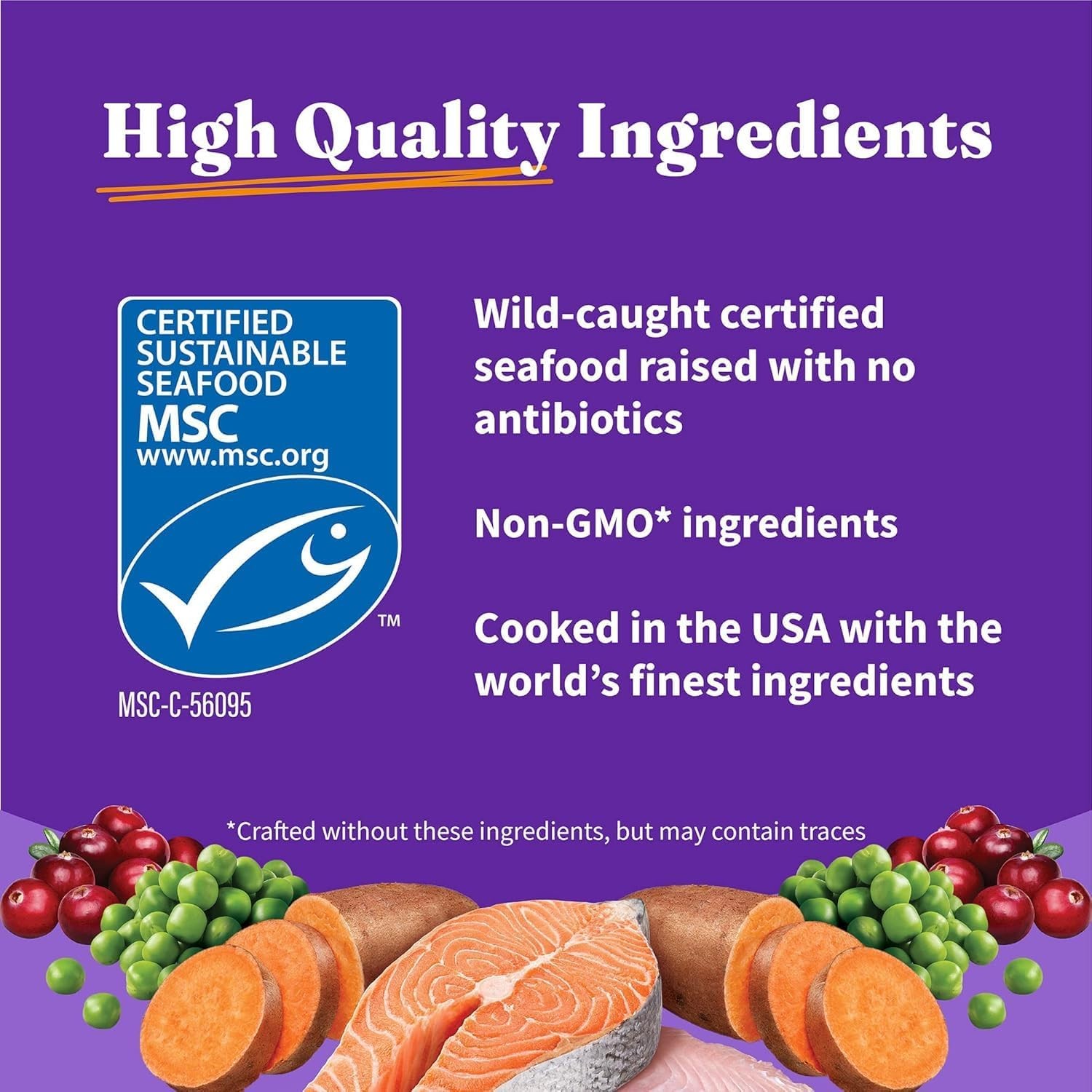 Holistic Indoor Cat Food Dry Grain Free Wild-caught Salmon & Whitefish Recipe