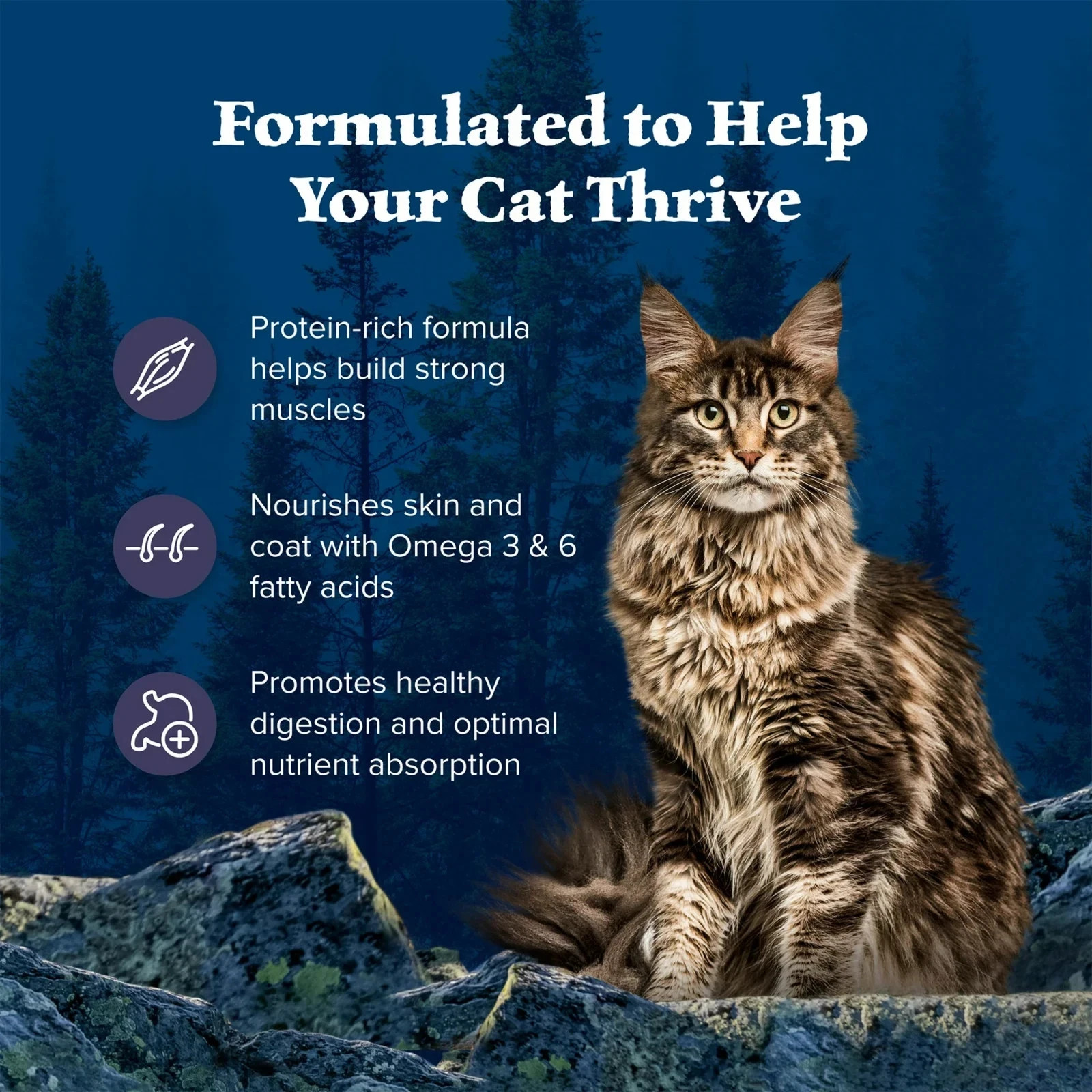 Blue Buffalo Wilderness Natural Adult Dry Cat Food, High-Protein, Chicken, 12-lb