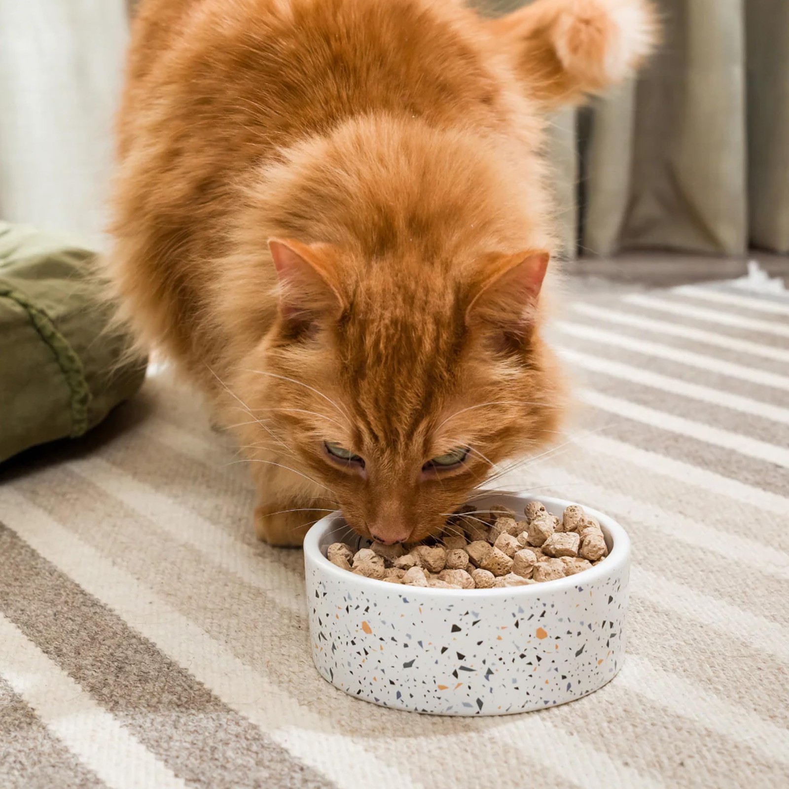 Open Farm, Freeze Dried Raw Cat Food, Complete Meal Morsels or Cat Treats wit…