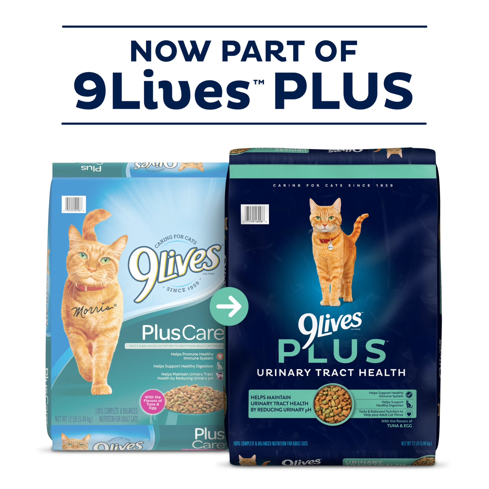 3 Pack 9Lives PLUS Urinary Tract Health Dry Cat Food, 15.5 lb. Bag