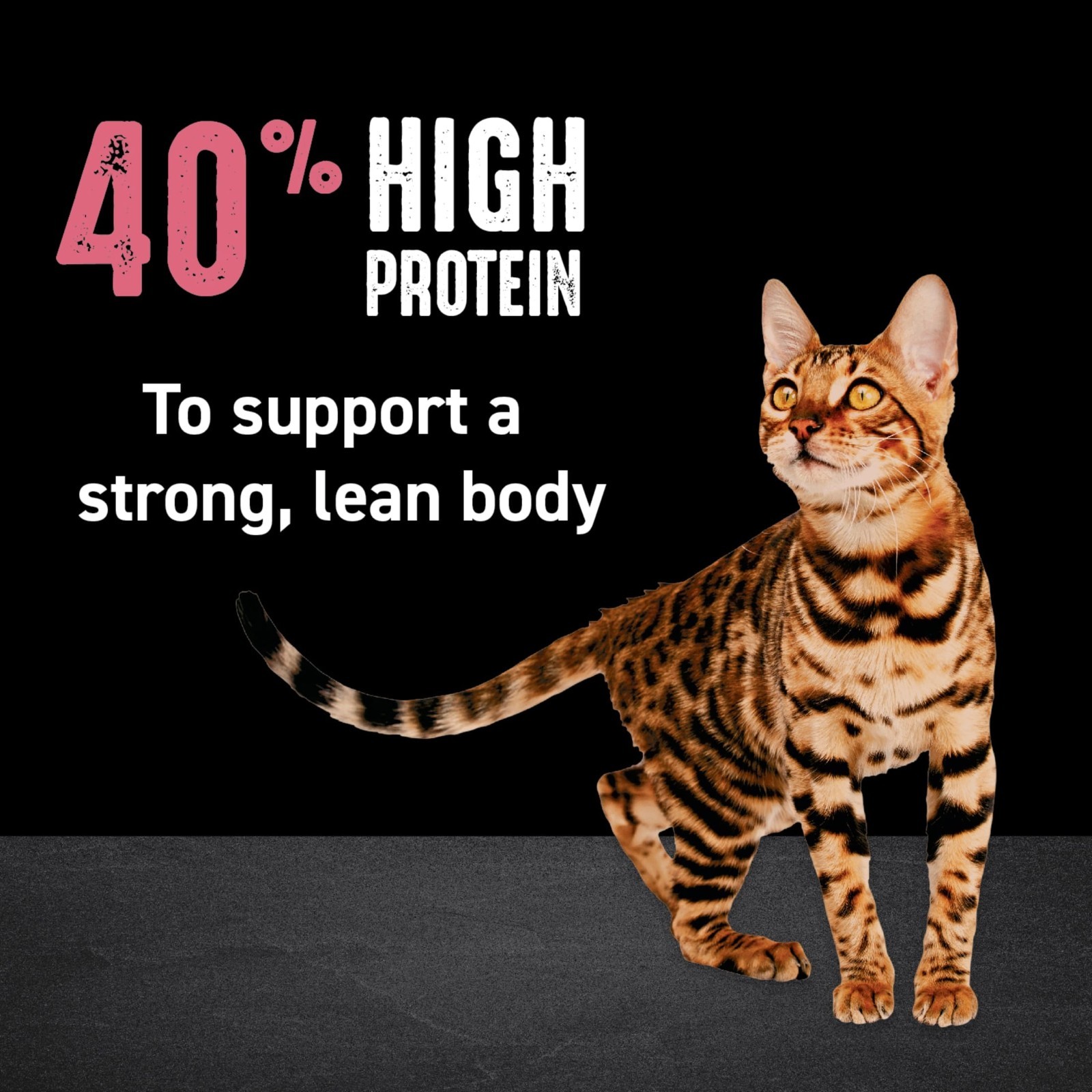 Crave Grain Free Indoor Natural Dry Cat Food With High Protein From Chicken & Sa