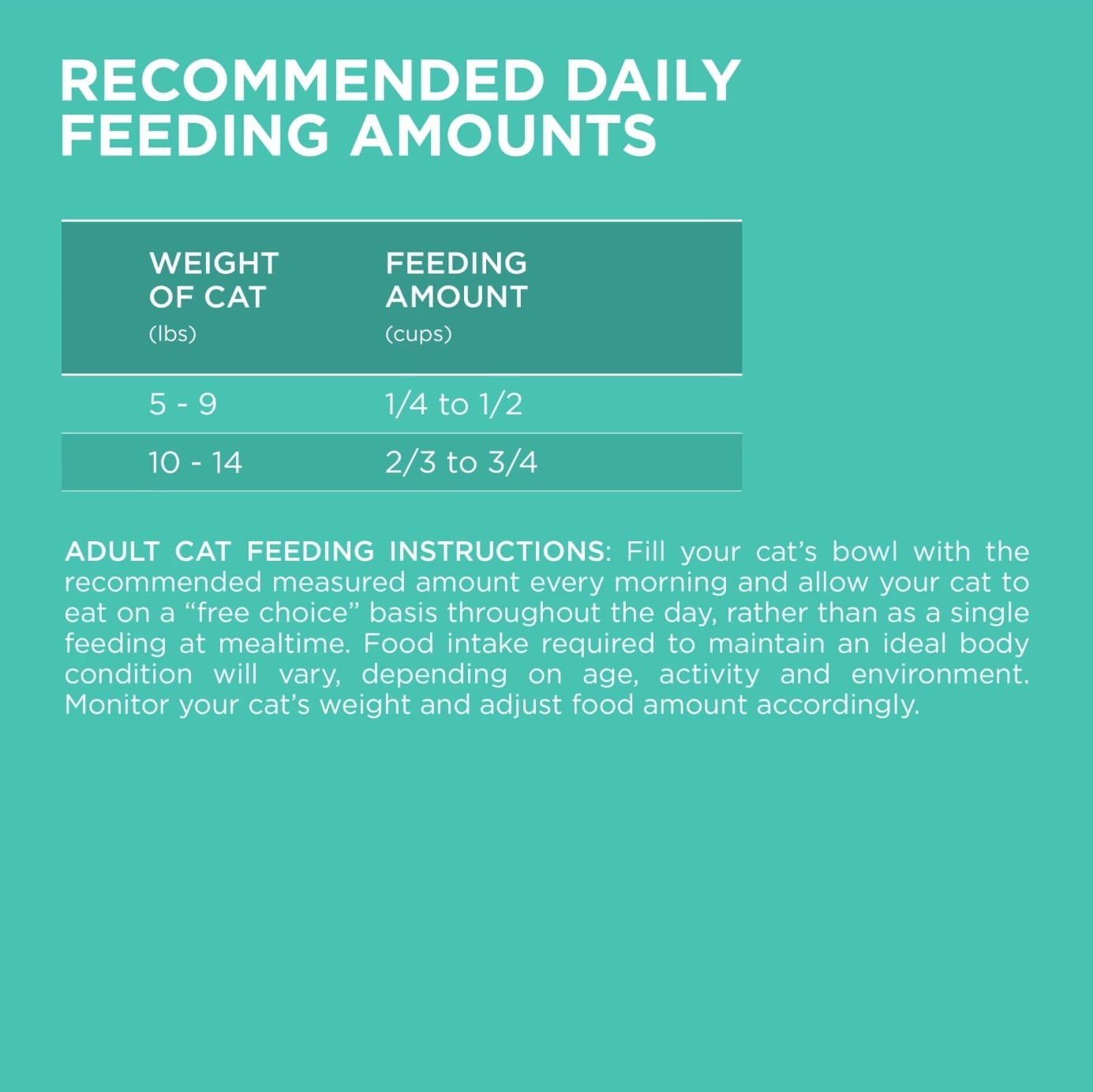 2 Pack Purina ONE Plus, Sensitive Skin & Stomach, Dry Cat Food, Turkey, 16 lb