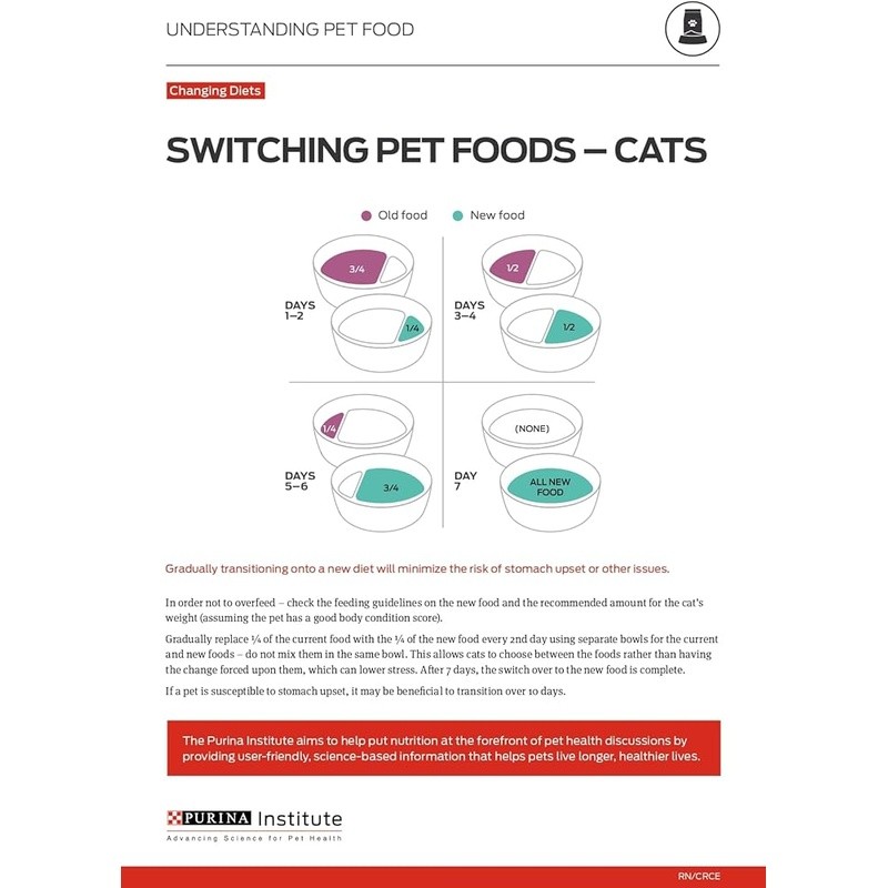 High Protein Salmon Dry Cat Food Allergen Reduction Digestive Health Skin Care