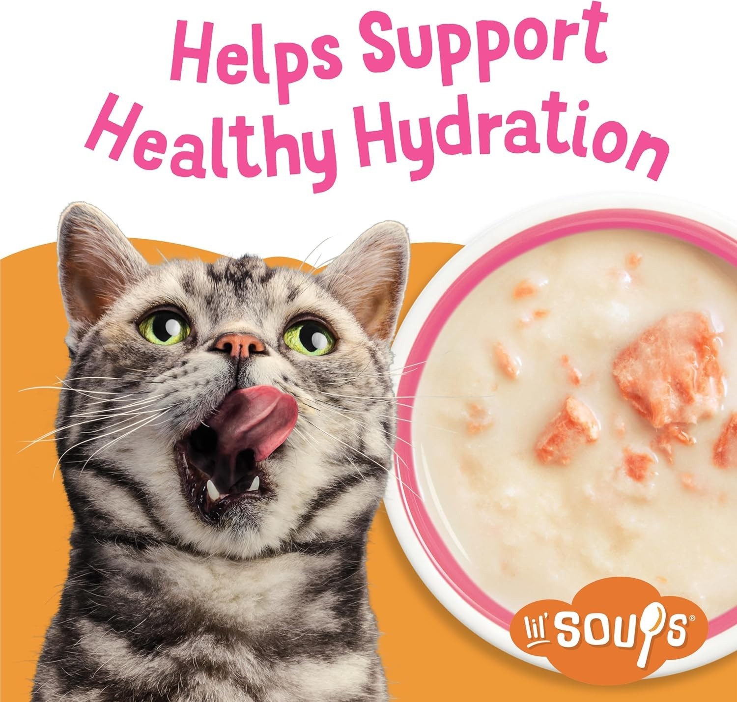 Purina Lil’ Soups Grain-Free Salmon in Chicken Broth – 8 Cups of Purrfection