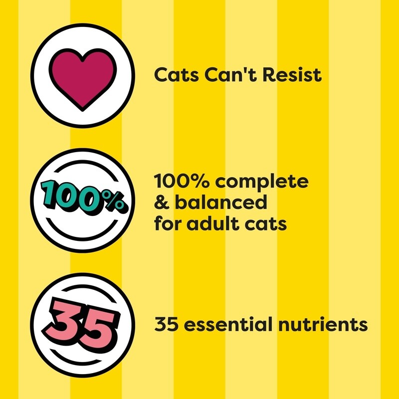 Tasty Chicken Flavor Dry Cat Food Kibble Adult All Breeds Complete Nutrition New