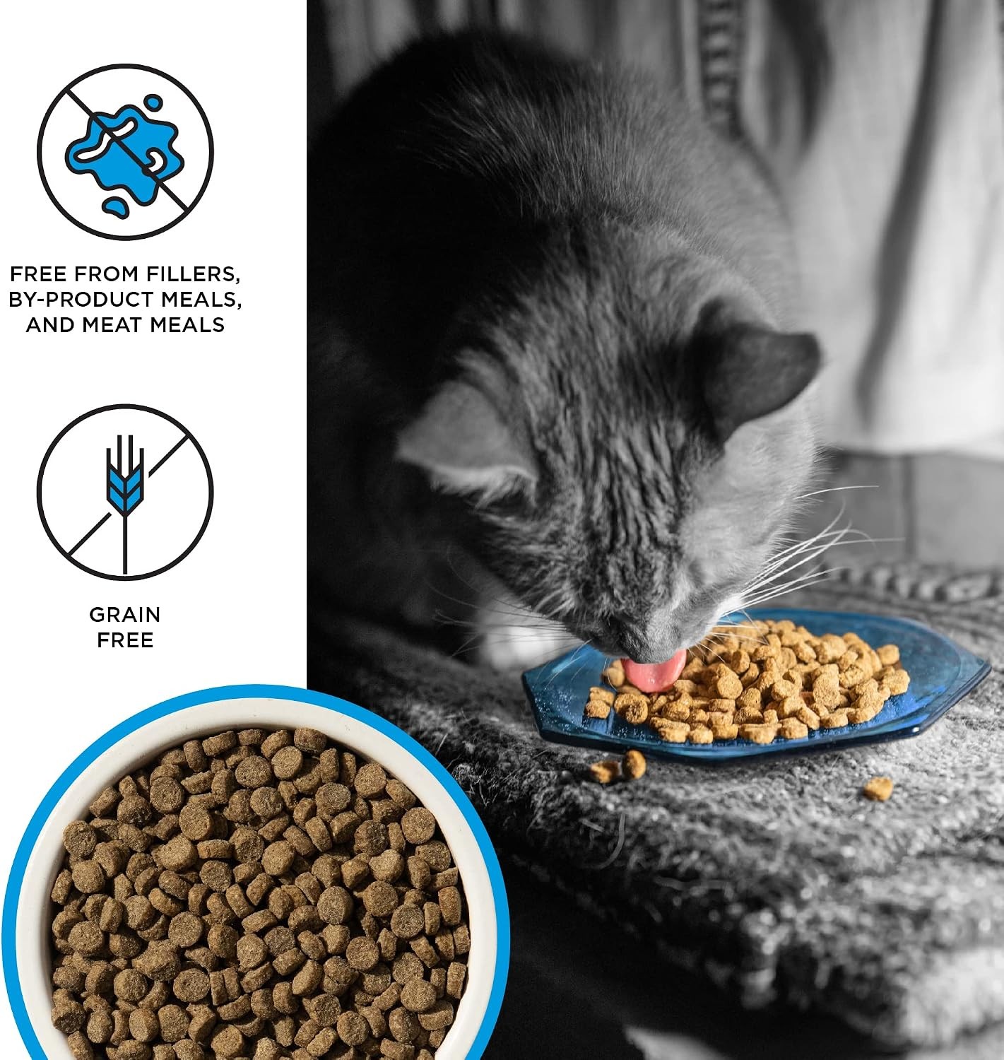Liberty Dry Food Salmon Recipe for Cats, 10lb