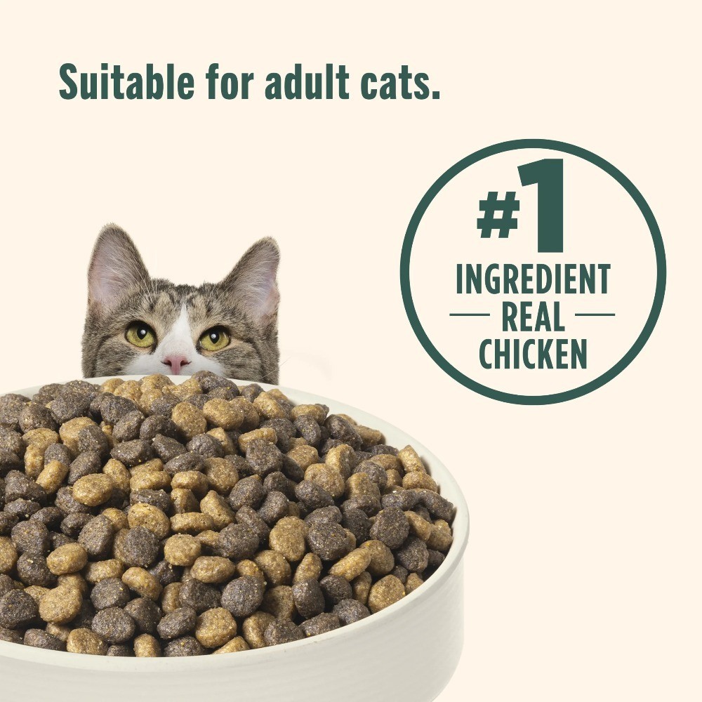 Indoor Complete Chicken, Lentils & Salmon Recipe Dry Cat Food 14 lb. Bag