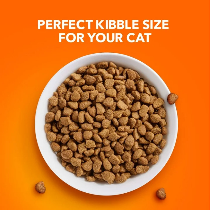 Iams Proactive Health Urinary Tract Chicken Dry Cat Food, 7 lb