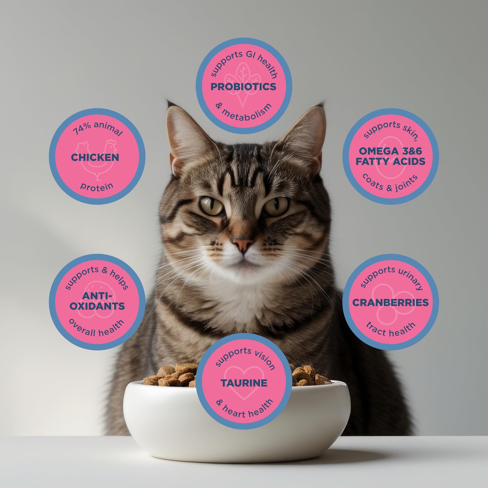 Blackwood Dry Cat Food, Adult Formula, Chicken Meal & 4 Pound (Pack of 1)