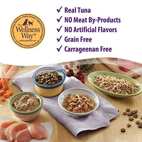 Wellness Grain Free Wet Cat Food Turkey Salmon Canned 24 Pack 5.5 Ounce