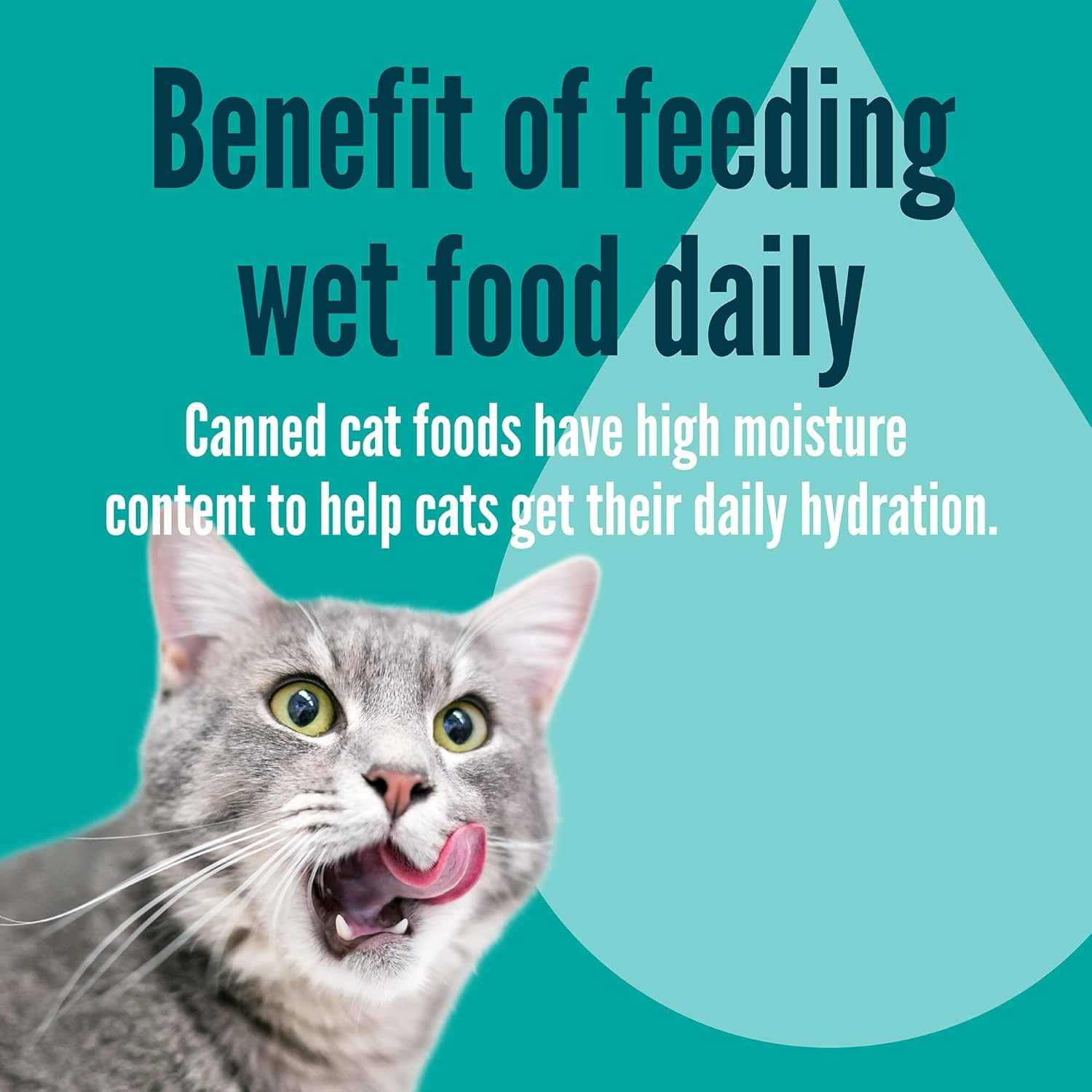 A Strong Heart Canned Wet Cat Food, Chicken Shreds with Organ Meat in Sauce -3 O